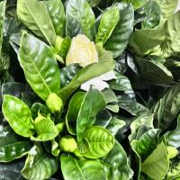 风轻奈何云不淡