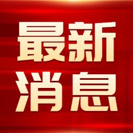 碗筷龙龟咖啡龙