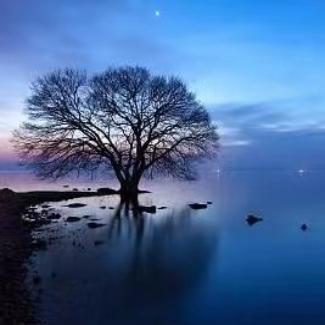 优质内容小推手