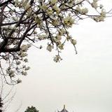 马志霖环球故事