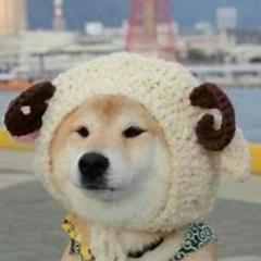 大业快乐的生活