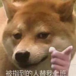 小数院长