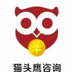 猫头鹰咨询猫叔