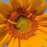 动物的千奇百态