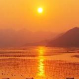 三宝妈的人间烟火