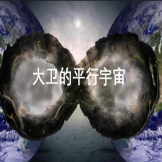 大卫的平行宇宙