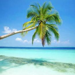 蒙佩尔兰养生之道