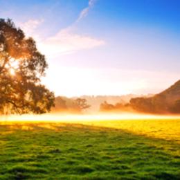 蒙佩尔兰健康分享