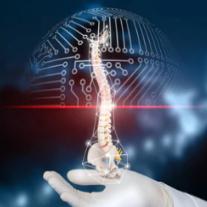 脊髓神经损伤介绍