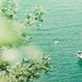 夏芋话生活