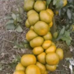 换个角度想想与看看