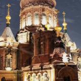 阿九心灵鸡汤录