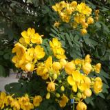 一千个赚钱方法