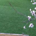 小同子搞笑日常