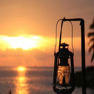 暖树文化零零壹