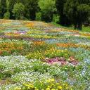 小周哥搞笑动物