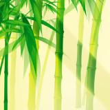 机智的动物王国