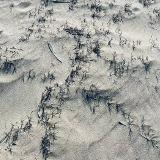 向往自由的地方