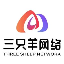 合肥三只羊网络