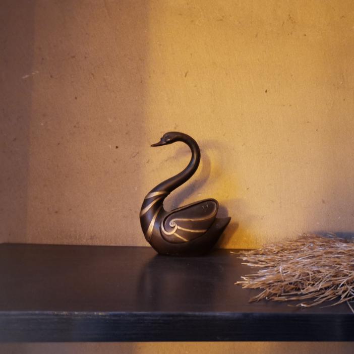 糖糖知识小课堂