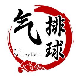 禾木气排球