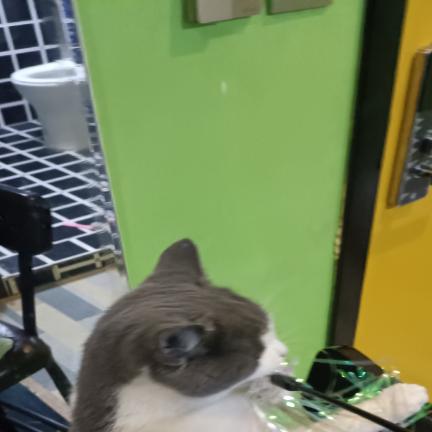 任芮仟聊景色