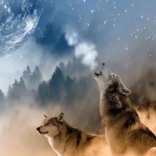 稻田里的守望者