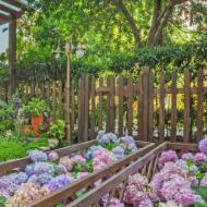 独留此情人世悲