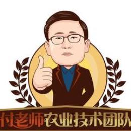 付老师种植技术团队