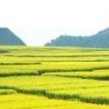 颐风说生活