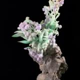 辛苦努力的陈一水