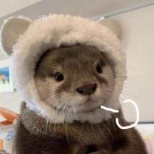 小莲喜爱生活
