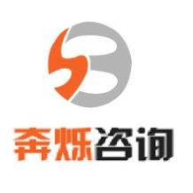 上海奔烁咨询