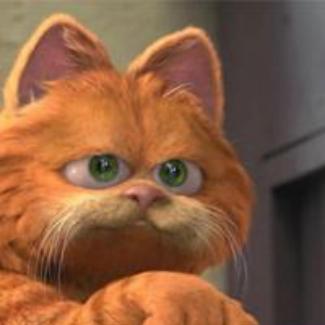 快乐减肥的加菲猫