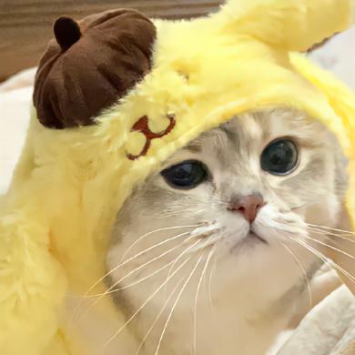 娱乐侃侃聊