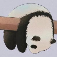 何生侃历史