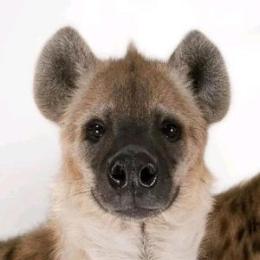 小漠带你看世界