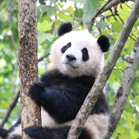 爱生活的天然呆