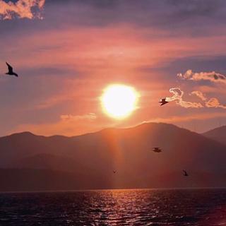 海舶云帆奢游攻略