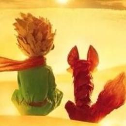 苏州佳洲模具材料