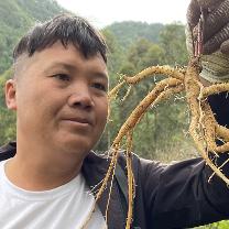 丘乡林哥