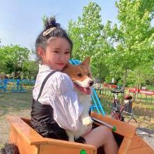 张建宇和赵大慧