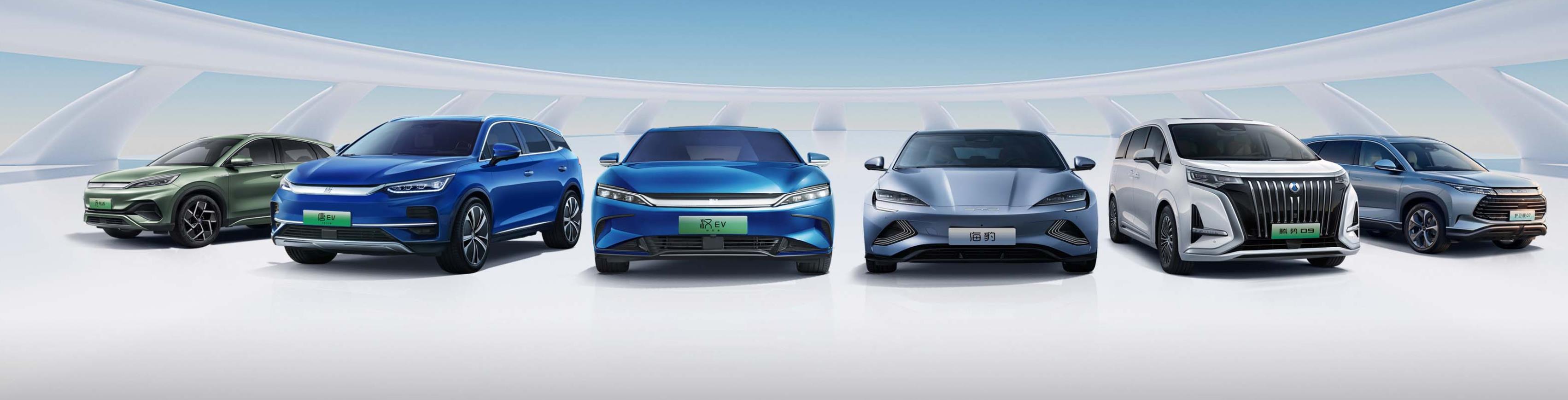  比亚迪车型矩阵。