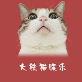 大铁猫娱乐
