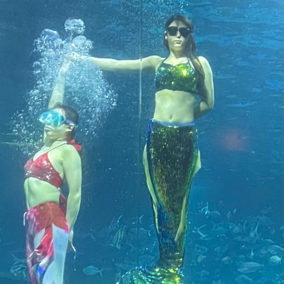 青花大学毕业生