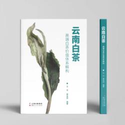 云南白茶发布