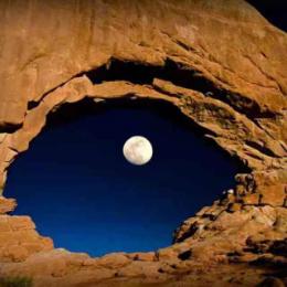 人生逆旅猫眼世界