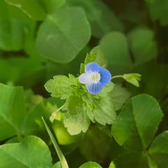 健康生活知多点