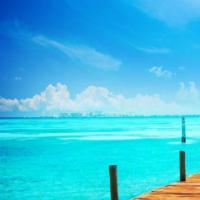 生有热烈藏于山谷