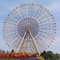 灿若星辰的目光